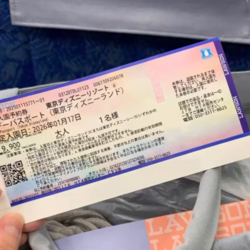 ディズニーランドチケット