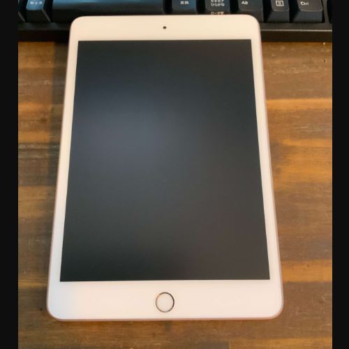 iPad mini5
