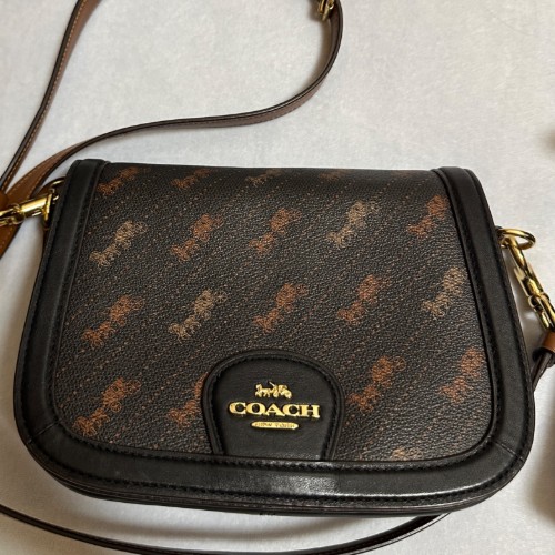 COACH ホース アンド キャリッジ