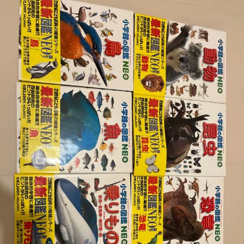 小学館の図鑑NEO