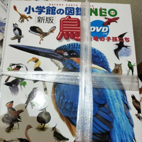 小学館図鑑NEO