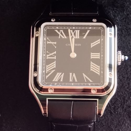 カルティサントスドゥモンWSSA0046