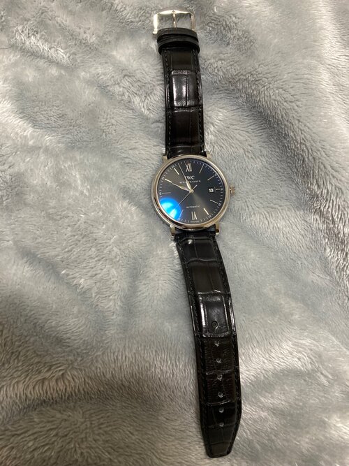 ポートフィノオートマティック IW356502