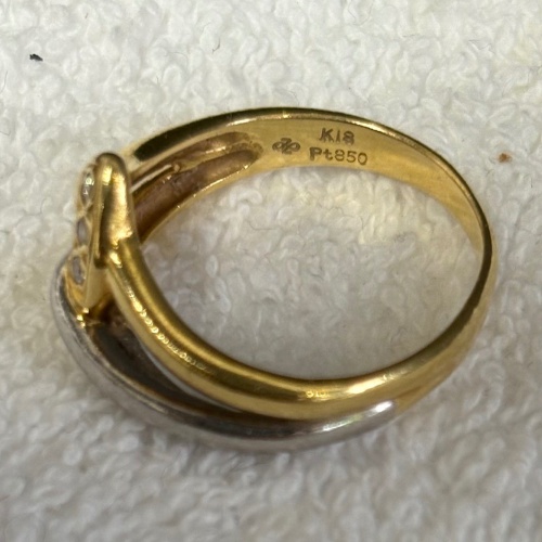 K18.Pt850の画像