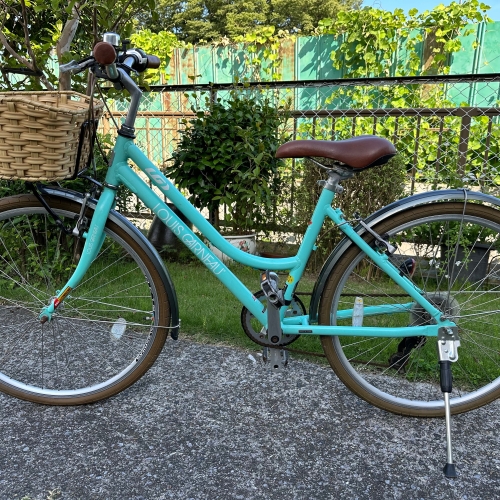 ルイガノ　CITYROAM8(420)