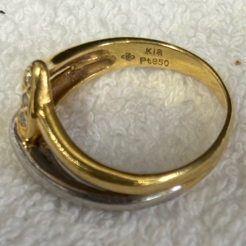 K18.Pt850の画像