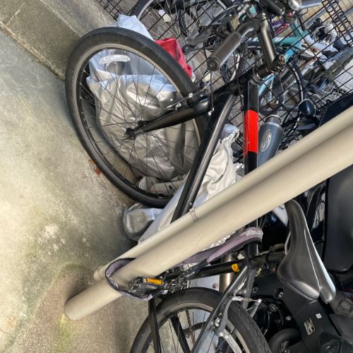 ジャイアント　グラビエ