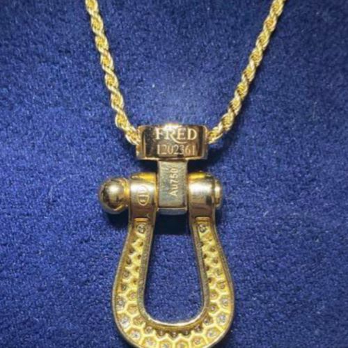 フレッド　フォース10