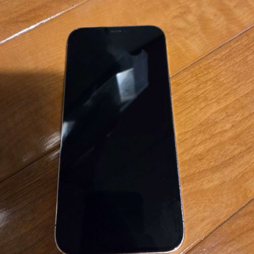 iPhone 12 Pro Max 128GB docomo