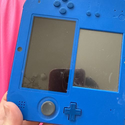 ニンテンドー2DS