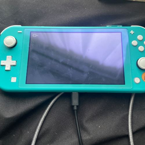 Switchライトどうぶつの森セット