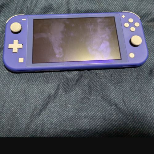 Nintendo Switch light