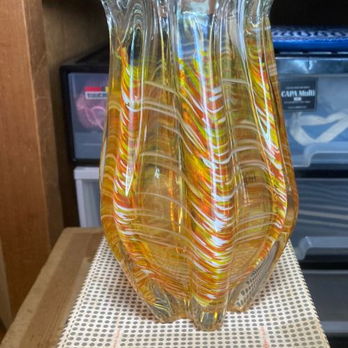 ホウセンカ　マルテイグラス