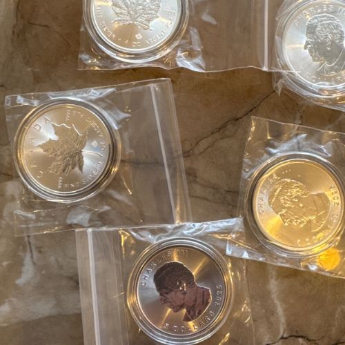 カナダメイプル銀貨1オンス