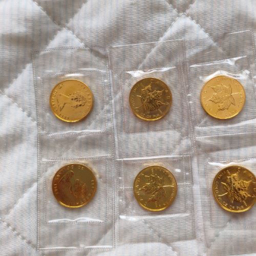 メープルリーフ金貨　1/2oz✕6
