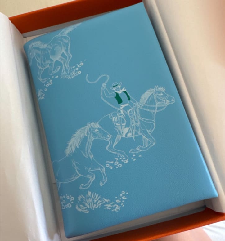 カルヴィ ディオ カードケース