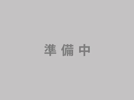 Nikonニコン COOLPIX S6600 クールピクス コンパクトデジタルカメラ