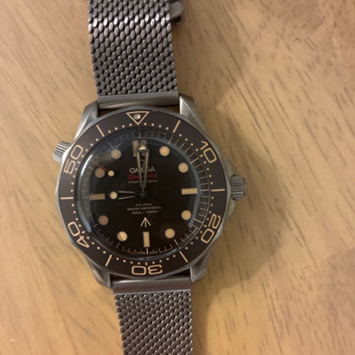 シーマスター300M 210.90.42.20.01.001