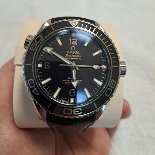 シーマスター プラネットオーシャン 600M