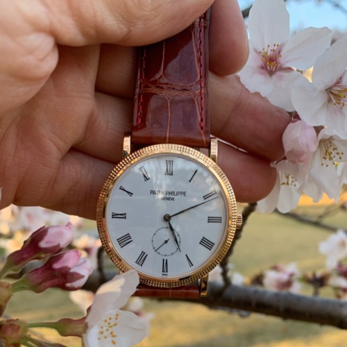 カラトラバ 5119R-00