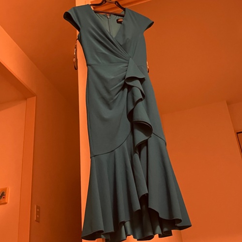 TADASHI SHOJI ミディアムドレス