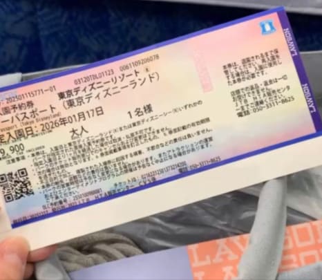 ディズニーランドチケット