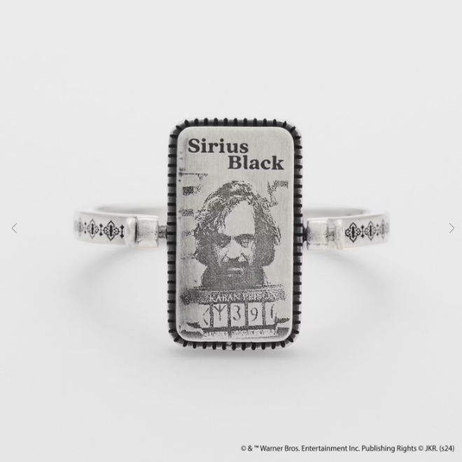 2024 Harry Potter Collaboration シルバーピアスチャーム