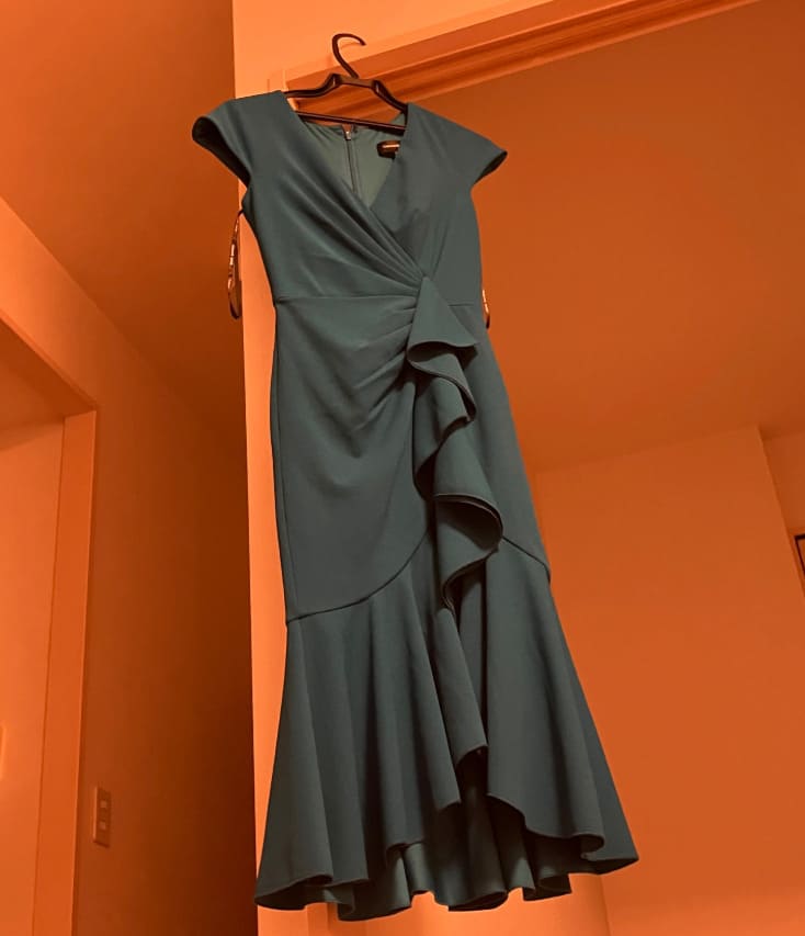 TADASHI SHOJI ミディアムドレス